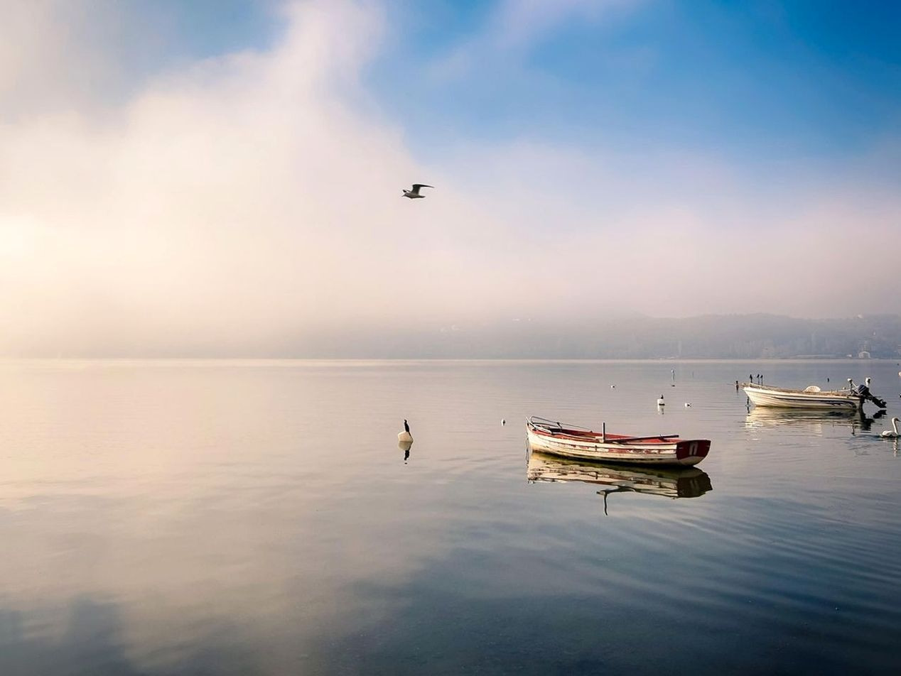 A still lake at first light